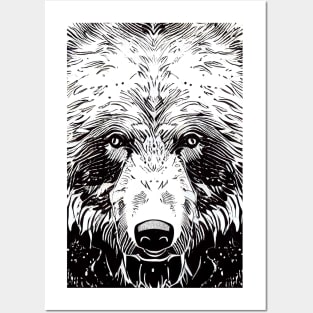 Bear Grizzly Wild Nature Illustration Line Epic Illustration Line Art Posters and Art